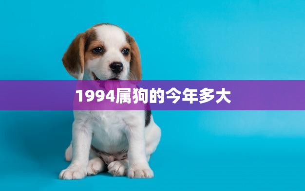 1994属狗的今年多大(狗年迎来27岁回顾过去展望未来)