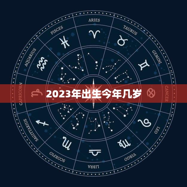 2023年生肖狗运势：事业竞争加剧，放大格局应对挑战 (2023年生肖属什么)