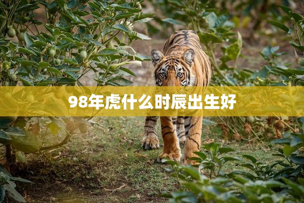 虎的年龄：今年多大？ (虎的年龄全部2020)