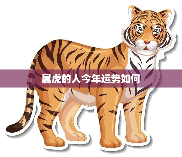 属虎的人今年运势如何(2023年属虎人运势解析)